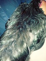 20180626_114621_Film3.jpg