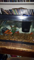 20180625_170416.jpg