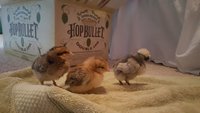 20180625_200322.jpg
