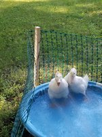 20180626_191259.jpg