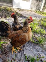 20180626_192607.jpg