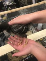 30421F3B-CD6F-4C1E-8B03-1D01C12082E5.jpeg