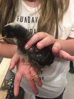 065C6D75-78FF-4DF7-B067-C3E7210D0E94.jpeg