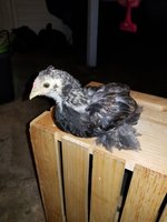 20180627_002048.jpg