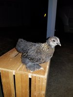 20180627_002344.jpg