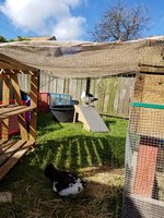 JPEG_20180627_093410_6291664384842441871.jpg