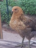20180422_073624.jpg
