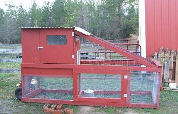 Brooder/grow-out/quarantine pen