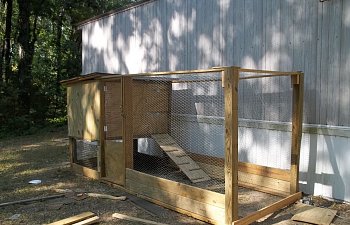 Mcfattys Farm Coop