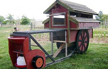 The Chicken Chuckwagon Coop D Ville Chicken Tractor