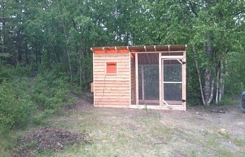 Alaskan Cedar Coop