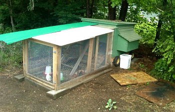 Here Is My Coop That I Made For Roughly 150