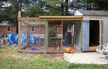 Retro Fitted Shed Coop