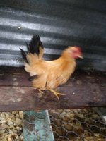 20180618_104525.jpg