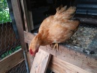 20180618_104545.jpg