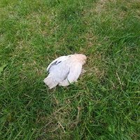 20180627_152355.jpg