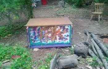 Colorful Coop Made By Kids