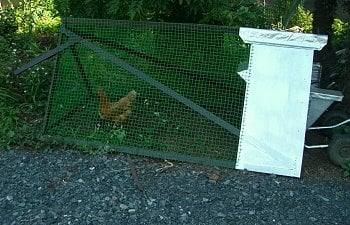 Chicken tractor 2m x 1m x 1m (excluding wheels and handle bars)