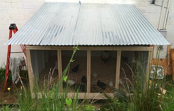 The Soylent Coop