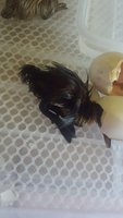 20180627_133150.jpg
