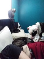 20180403_103842.jpg