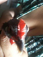 20180628_061248.jpg