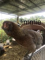 D8B92275-076E-45BF-8DAD-7B07822A9EDE.jpeg