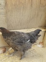 20180628_082340.jpg