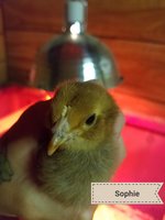 20180628_104230.jpg 20180628_104230.jpg