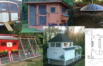 Medium Chicken Coop Designs & Pictures of Chicken Coops