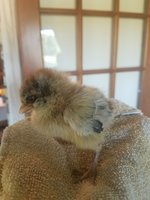 20180628_195728.jpg