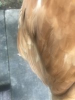 B1F29EE6-E0D1-4634-9311-227D5C180967.jpeg