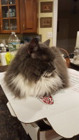 20180628_223207.jpg