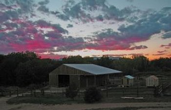 Kzs Chicken Coop