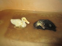IMG_9995.JPG