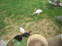 IMG_0174.JPG