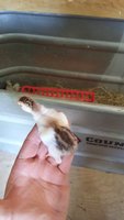 20180629_153316.jpg