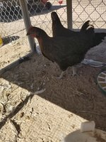 20180629_164849.jpg
