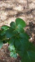 20180629_164611.jpg