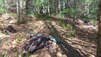 20180629_164350.jpg 20180629_164350.jpg