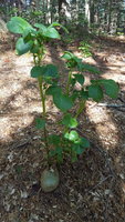 20180629_164409.jpg 20180629_164409.jpg