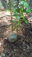 20180629_164441.jpg 20180629_164441.jpg