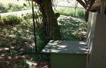 030.jpg