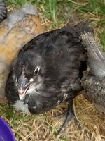 20180630_101044.jpg
