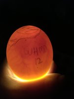 WHMD12- Day 7.JPG