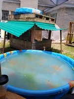 20180630_141414.jpg