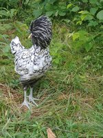 20180701_084539.jpg