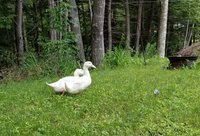 20180701_115825.jpg