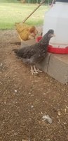 20180701_134015.jpg