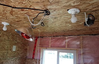 20180701_115419.jpg